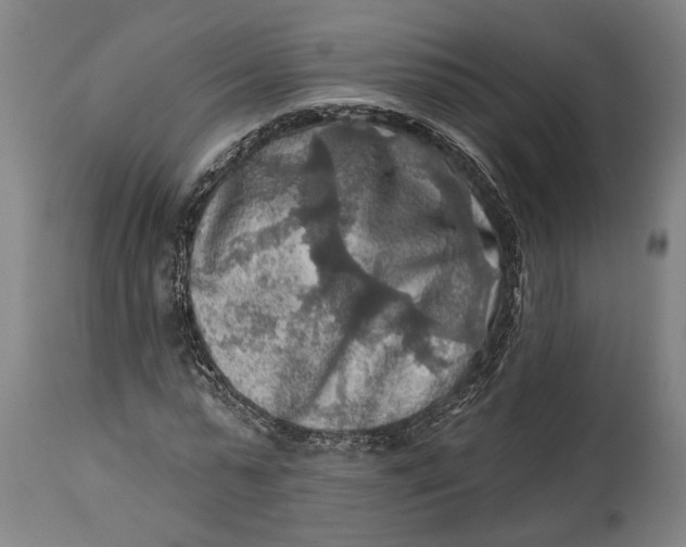 X0000114650775200911101320