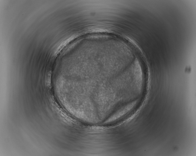 X0000114650777200911101320