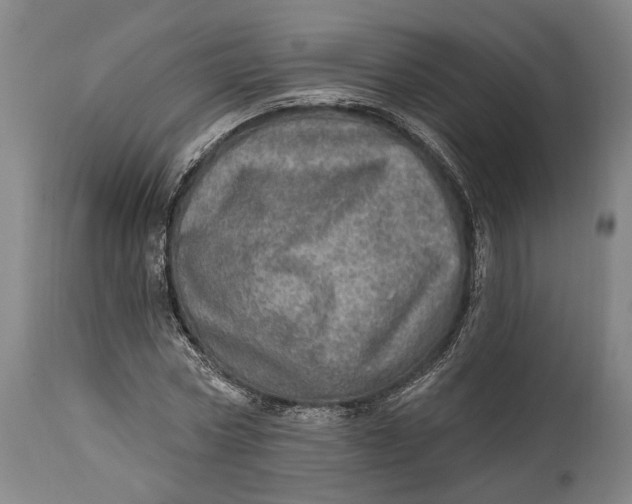 X0000114650778200911101320