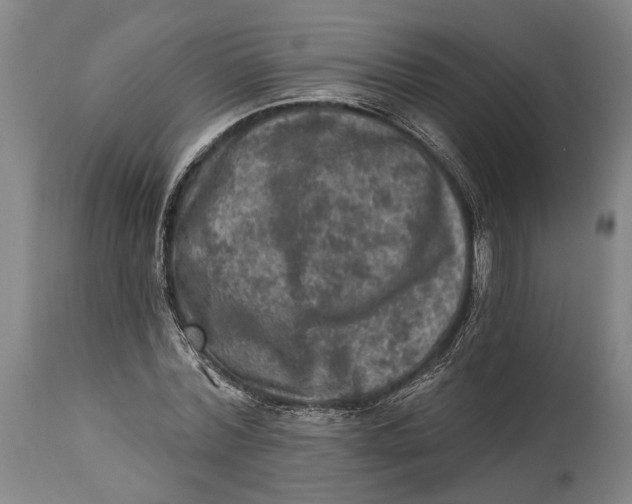 X0000114650780200911101320