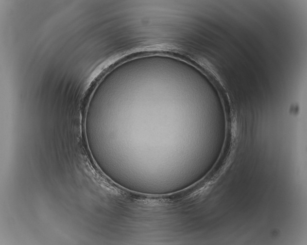 X0000114650781200911101320