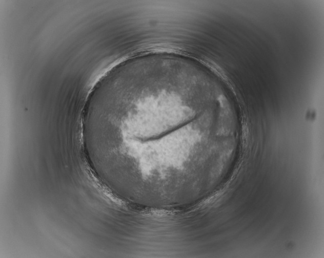 X0000114650782200911101320