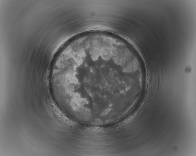 X0000114650783200911101319