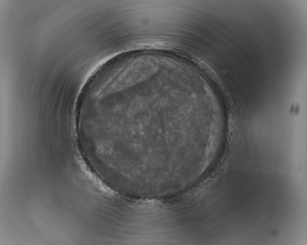 X0000114650784200911101319