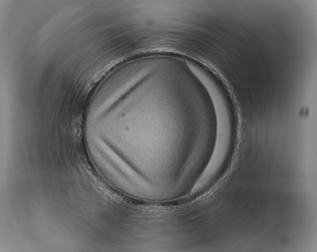 X0000114650785200911101319