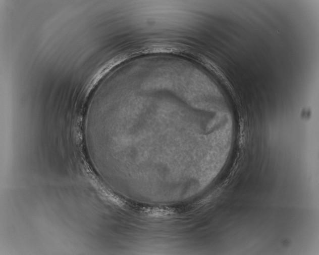 X0000114650786200911101319