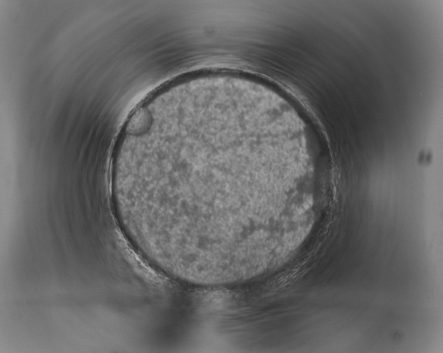 X0000114650791200911101319