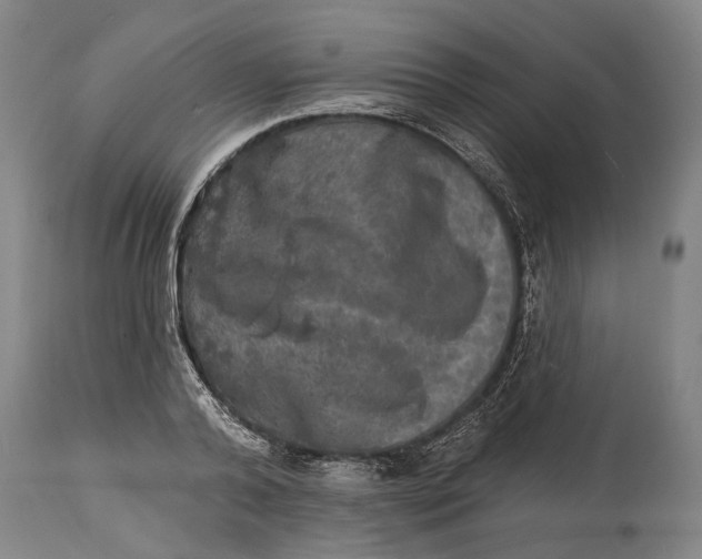 X0000114650792200911101319