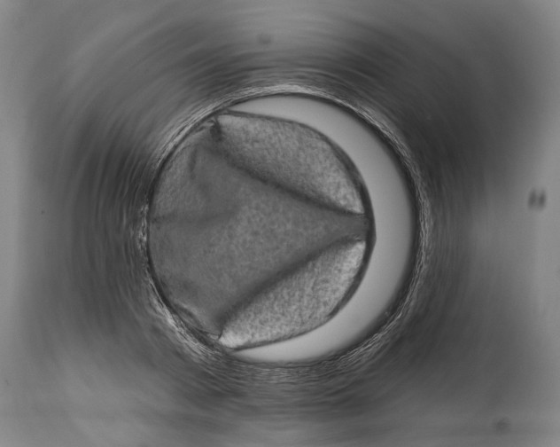 X0000114650793200911101319