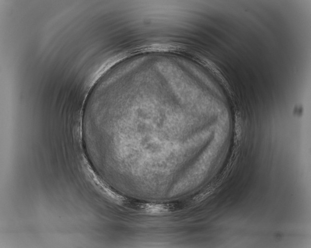 X0000114650794200911101319