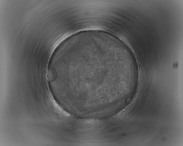 X0000114650797200911101319