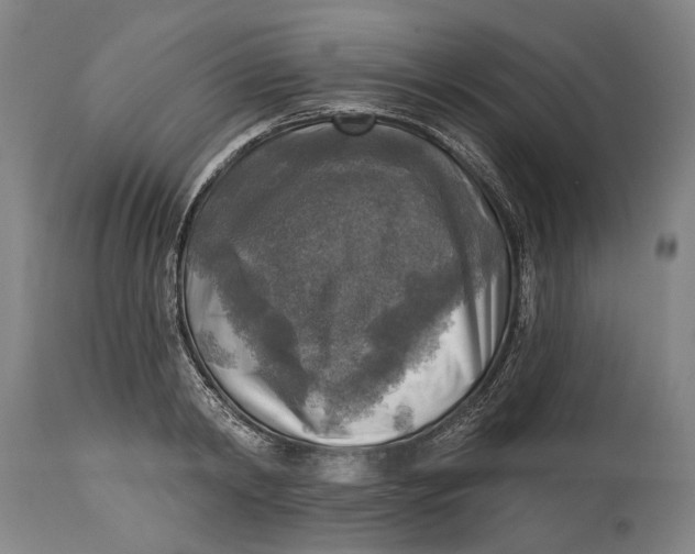 X0000114650798200911101319