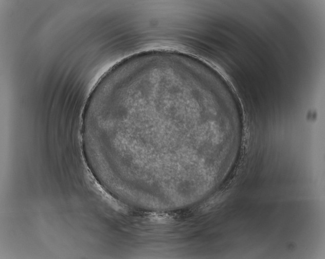 X0000114650799200911101319