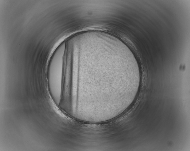 X0000114650800200911101319