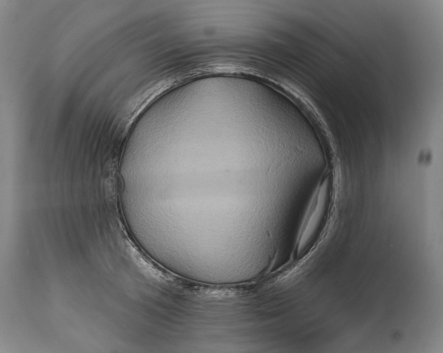 X0000114650801200911101319