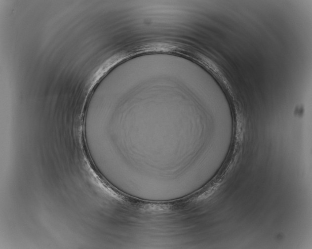 X0000114650802200911101319