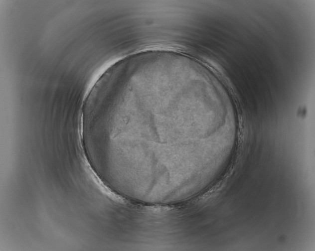 X0000114650804200911101319