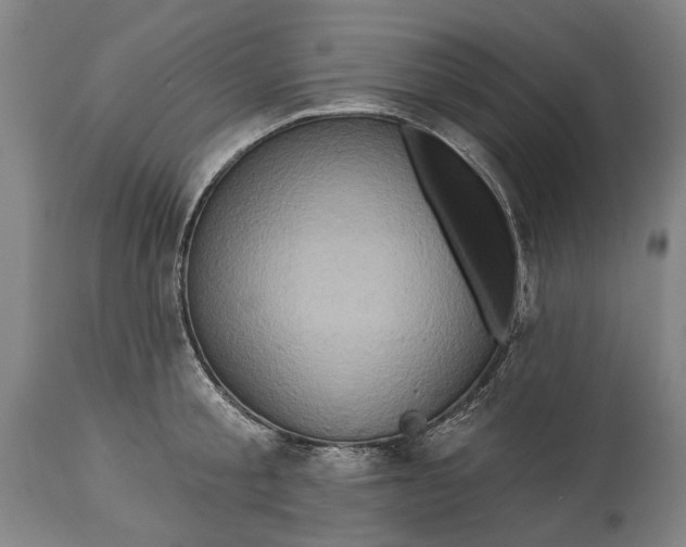 X0000114650805200911101319