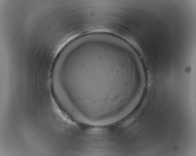 X0000114650806200911101319