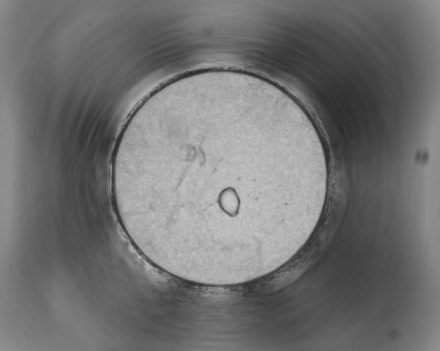 X0000114650807200911101319