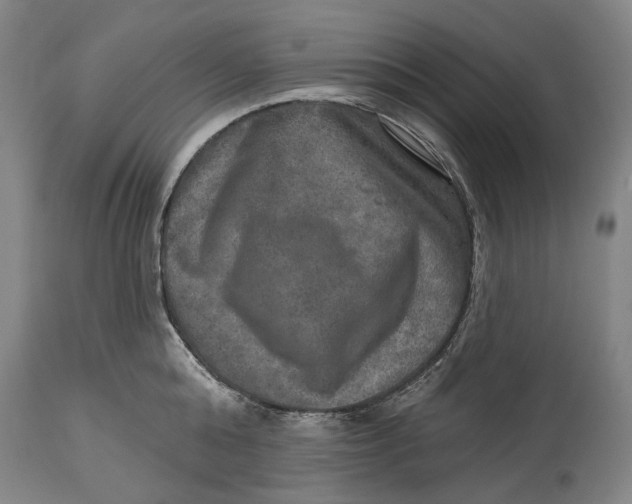 X0000114650808200911101319