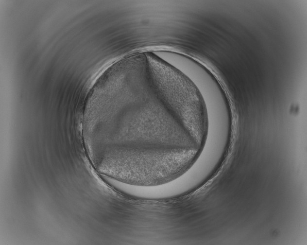 X0000114650809200911101319