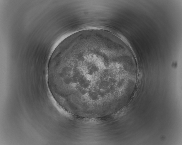 X0000114650811200911101319