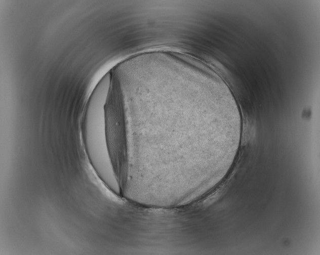 X0000114650812200911101319