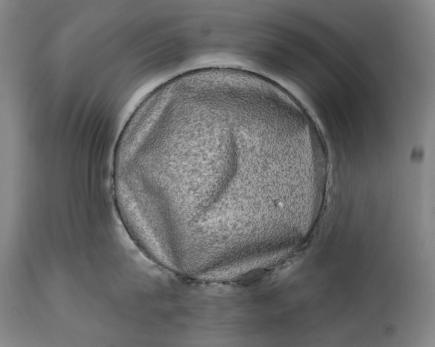 X0000114650815200911101319