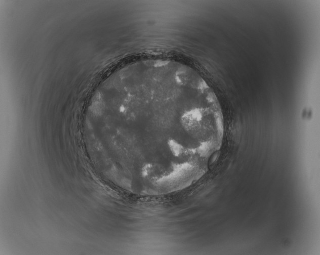 X0000114650817200911101318