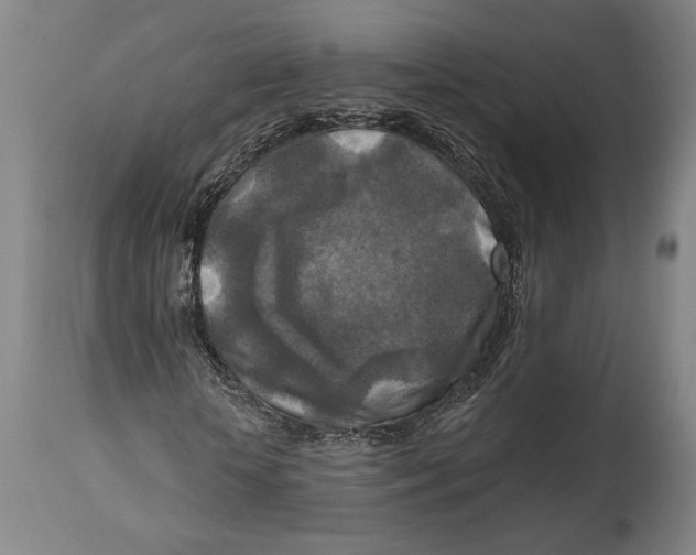 X0000114650818200911101318