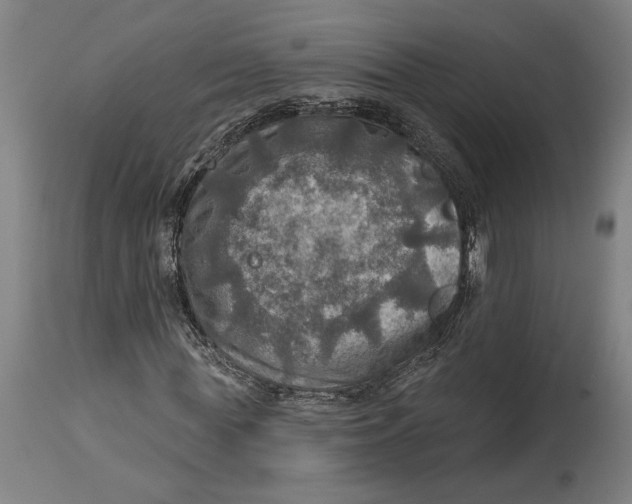 X0000114650819200911101318