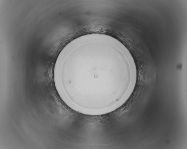 X0000114650820200911101318