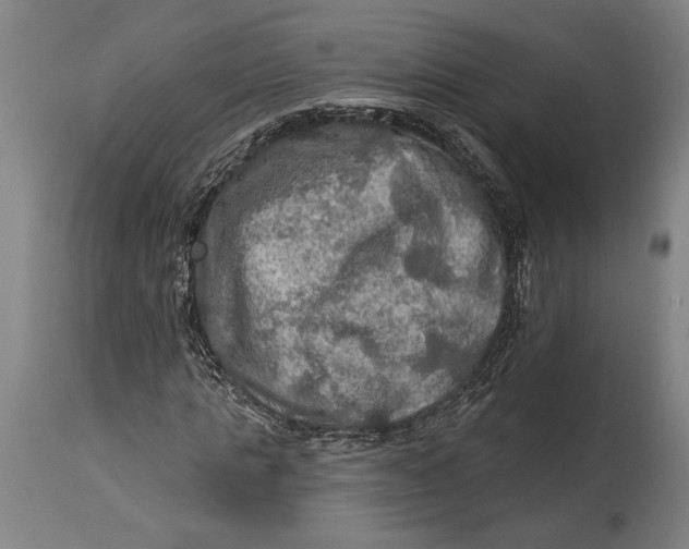 X0000114650821200911101318