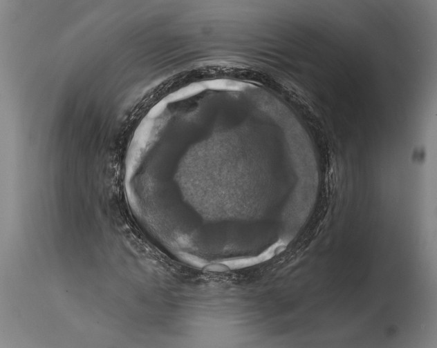 X0000114650822200911101318