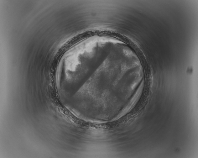 X0000114650823200911101318