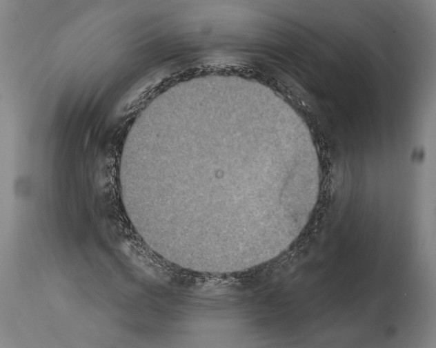 X0000114650824200911101318