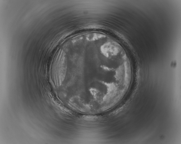 X0000114650825200911101318