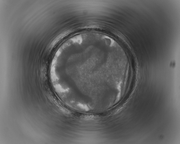 X0000114650826200911101319