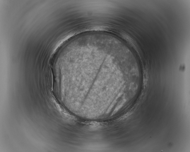 X0000114650827200911101319