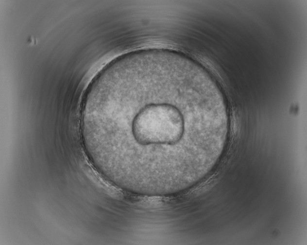 X0000114650828200911101319