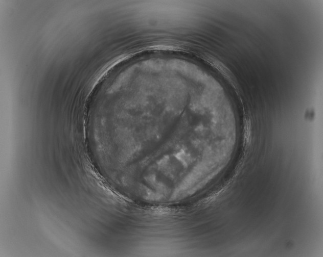 X0000114650829200911101319