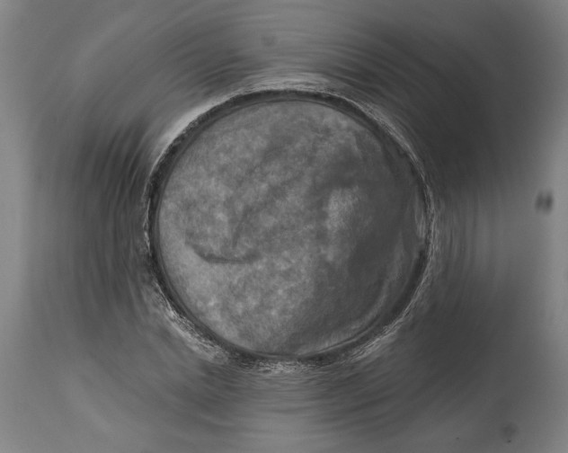 X0000114650830200911101319