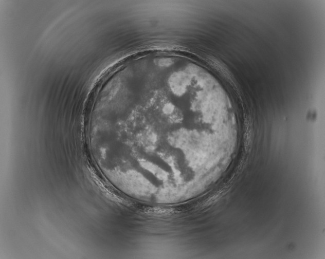 X0000114650831200911101319