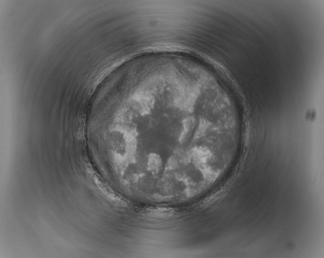 X0000114650833200911101319