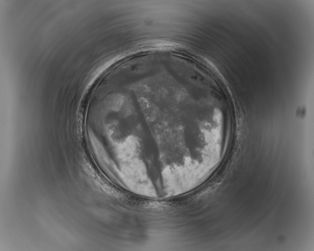 X0000114650835200911101319