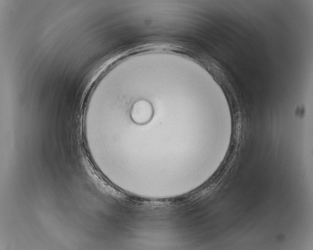 X0000114650836200911101319