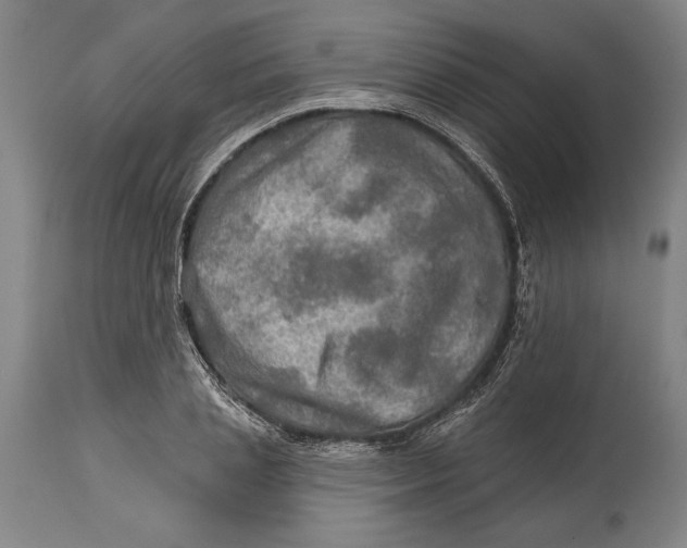 X0000114650837200911101319