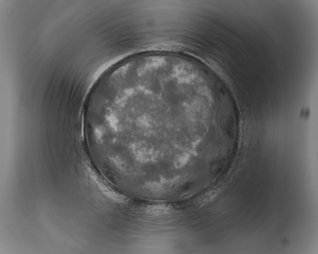 X0000114650838200911101319