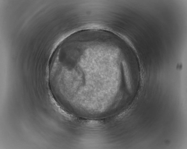 X0000114650839200911101319